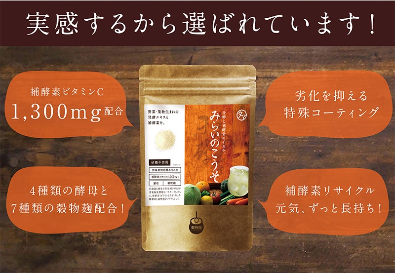 タマチャンショップ みらいのこうそ レモン味 100g｜永久不滅ポイント