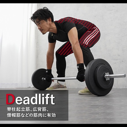 バーベル プレート セット 筋トレ 20kg 40kg シャフト トレーニング