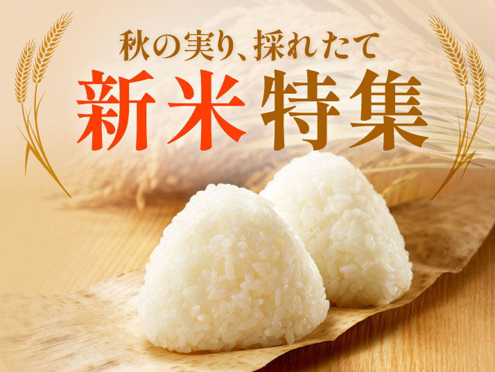 新米特集
