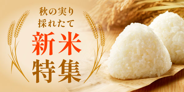 新米特集